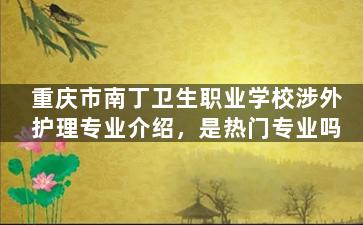 重庆市南丁卫生职业学校涉外护理专业介绍，是热门专业吗