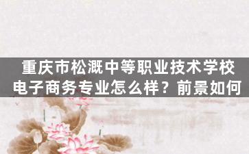 重庆市松溉中等职业技术学校电子商务专业怎么样？前景如何