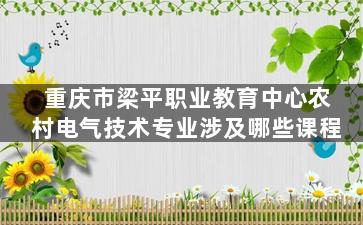 重庆市梁平职业教育中心农村电气技术专业涉及哪些课程