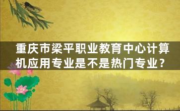 重庆市梁平职业教育中心计算机应用专业是不是热门专业？