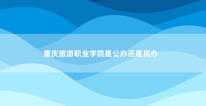 重庆旅游职业学院是公办还是民办