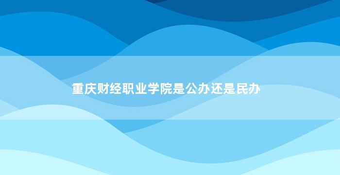 重庆财经职业学院是公办还是民办