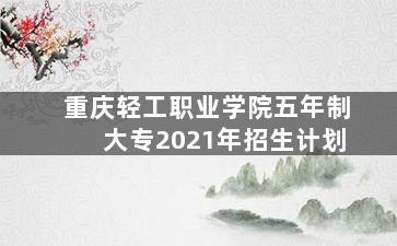 重庆轻工职业学院五年制大专2021年招生计划